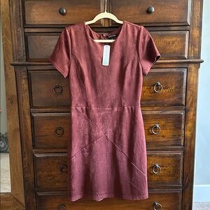 41 Hawthorn Red Sheath Mini Dress Crew Neck